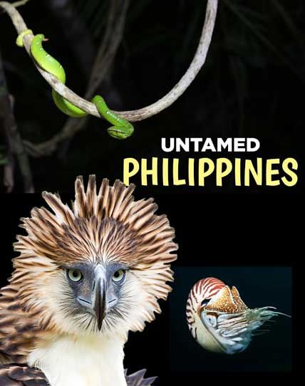 untamed philippines