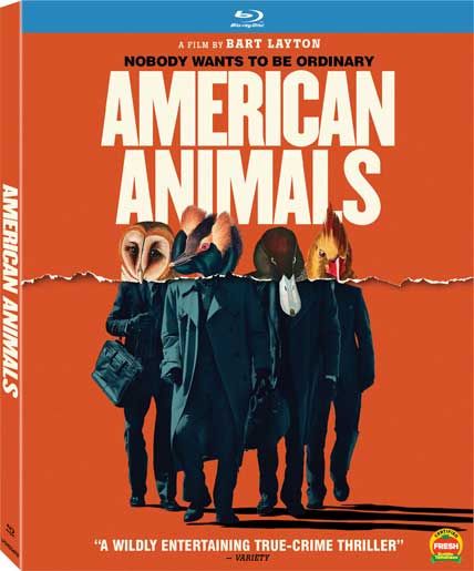 american animals