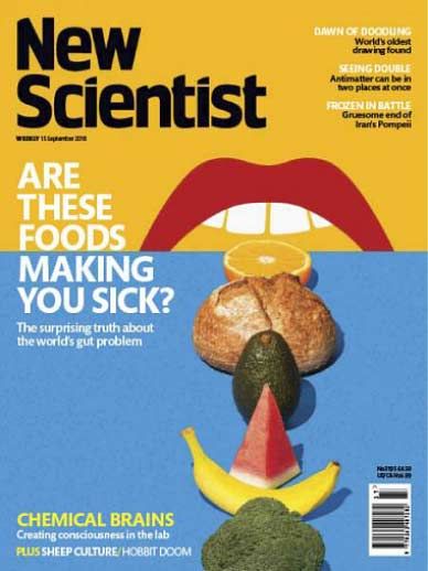 New Scientist International Edition