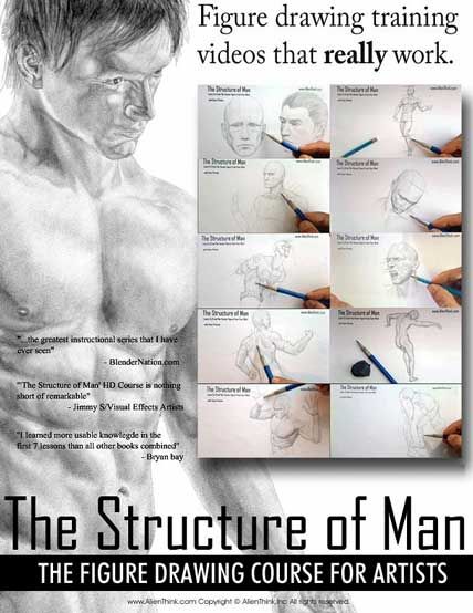 the structure of man