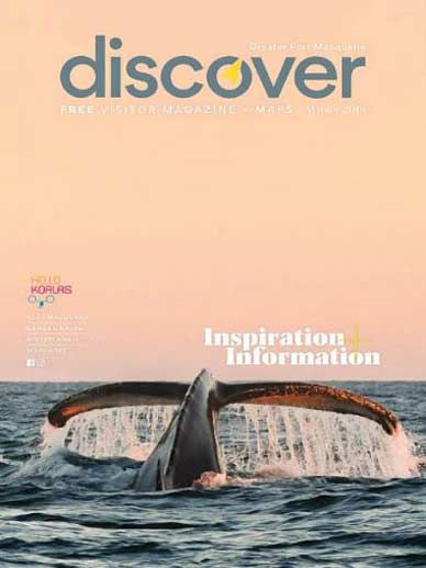 Discover Magazine