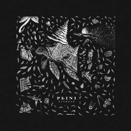 Plini