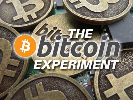 the bitcoin experiment