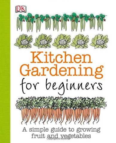 kitchen gardening for beginners
