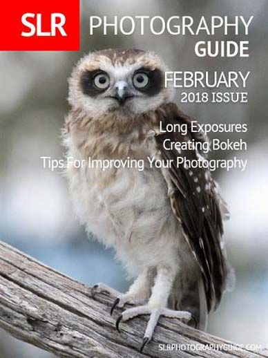 SLR Photography Guide