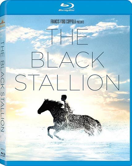 the black stallion
