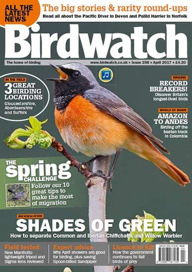Birdwatch UK