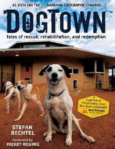 DogTown