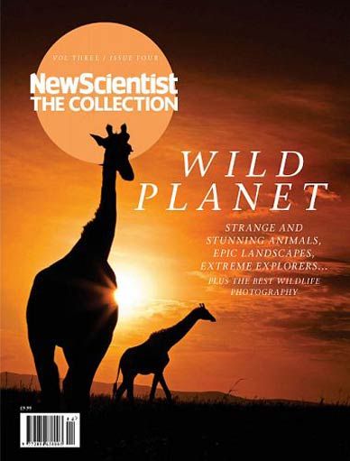 New Scientist The Collection