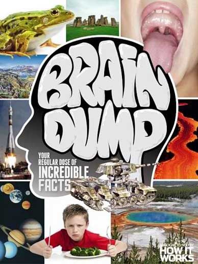 How It Works Brain Dump