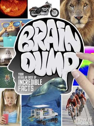 How It Works Brain Dump