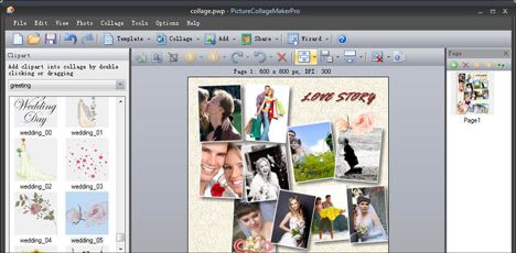 picture collage maker pro