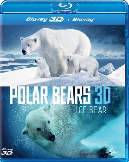 Polar Bears A Summer Odyssey