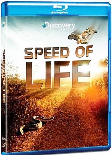 speed of life