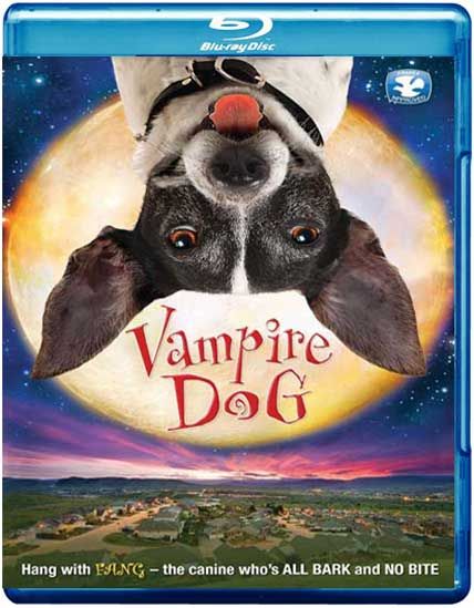 vampire dog