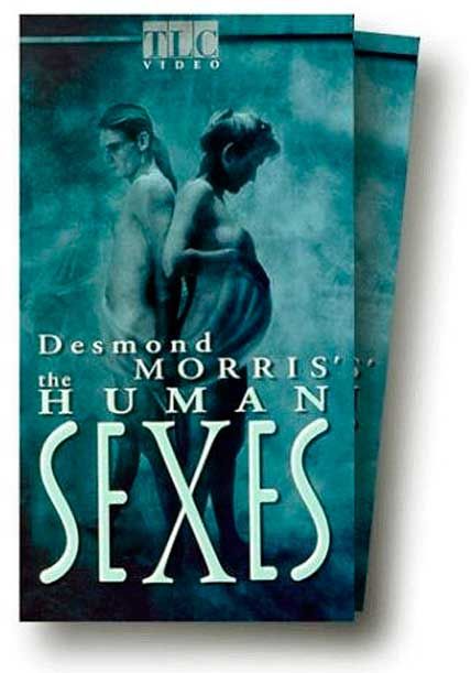 human sexes