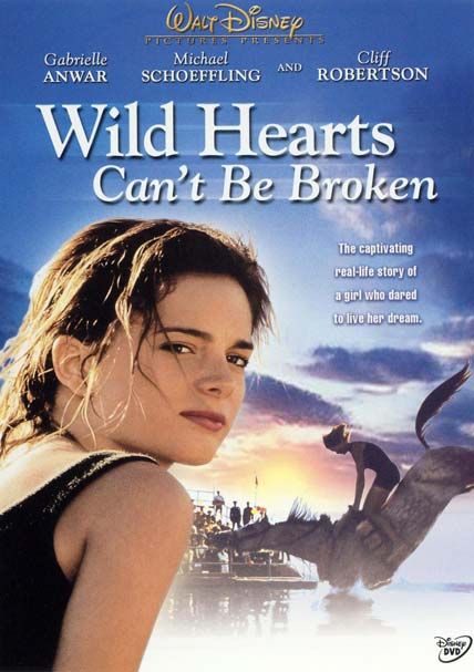 wild hearts cant be broken d d