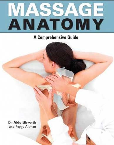 Massage Anatomy