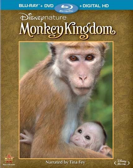 Monkey Kingdom