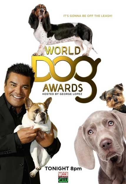 The World Dog Awards