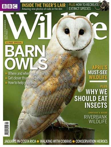BBC Wildlife Mag April 2013