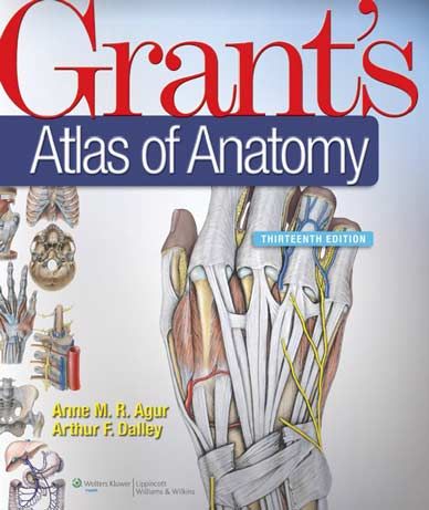 Grants Atlas Anatomy 13th Edition