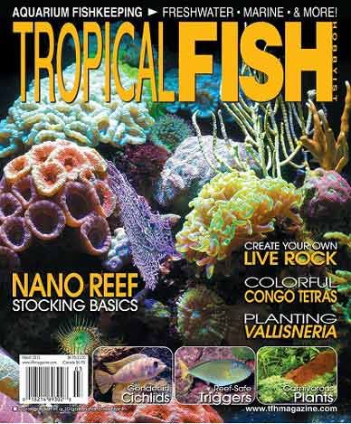 Tropical Fish Hobbyist Magazine March 2013