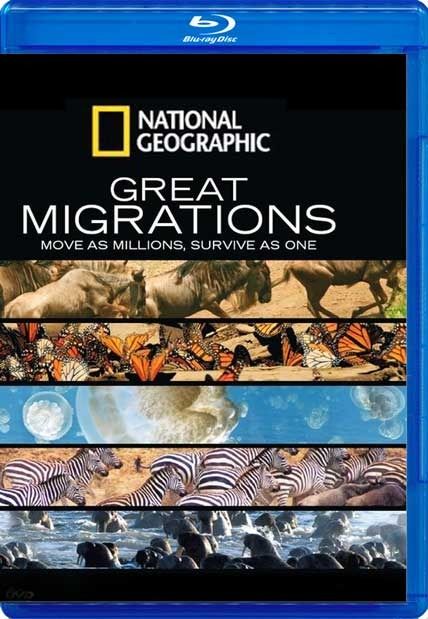 great migrations