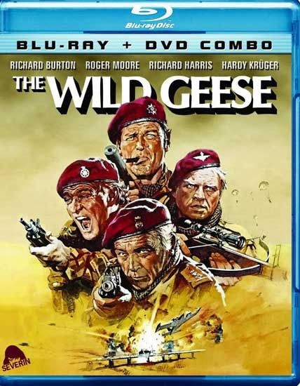 wild geese