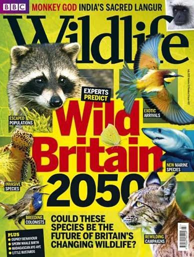 BBC Wildlife