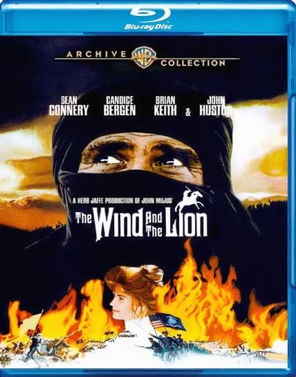 the wind and the lion