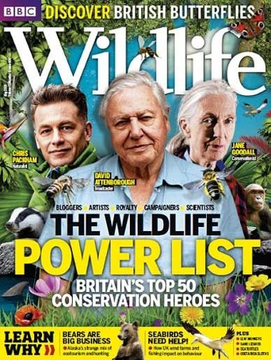 BBC Wildlife Magazine