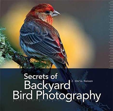 Secrets of Backyard Bird Photography by J. Chris Hansen