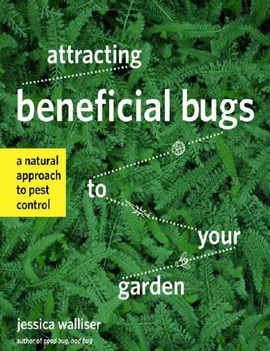 Attracting Beneficial Bugs To your Garden