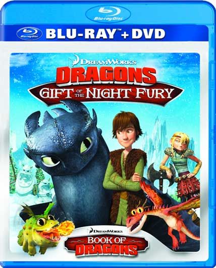dragons gift of the night fury