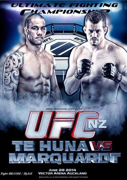 ufc fight night 43