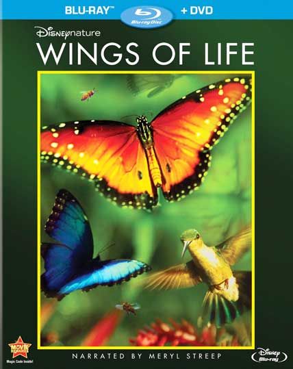 wings of life