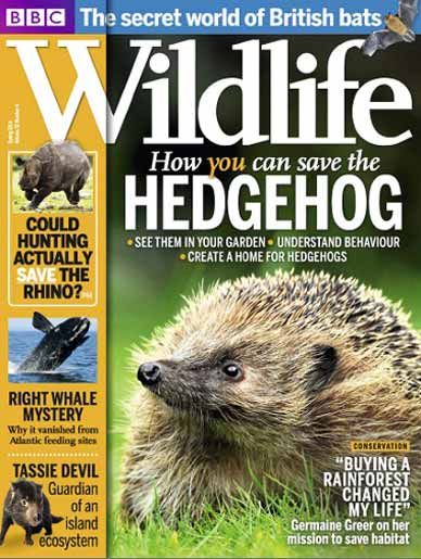 BBC Wildlife Magazine