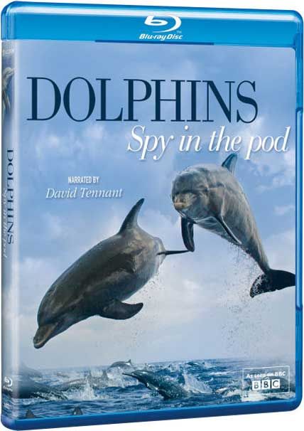 Dolphins Spy In The Pod
