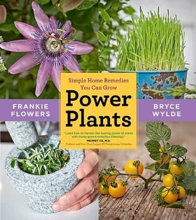 Power Plants Simple Home Remedies You Can Grow