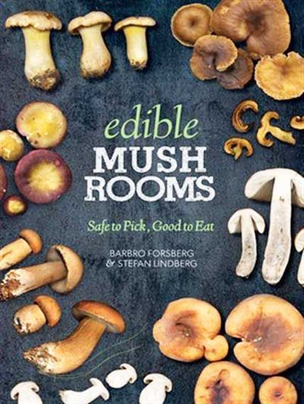 edible mushrooms