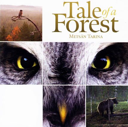 tale of a forest
