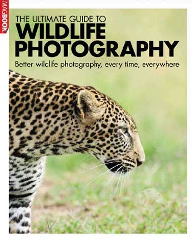Ultimate Guide Wildlife Photography