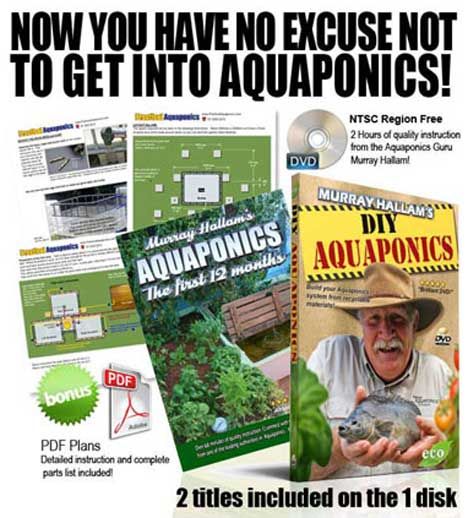 aquaponics the first 12 months and diy