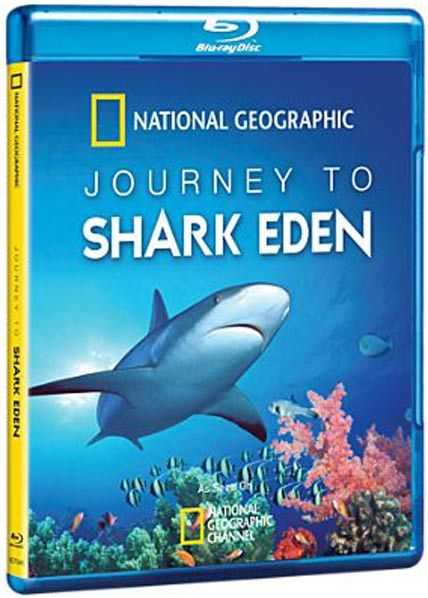 journey to shark eden