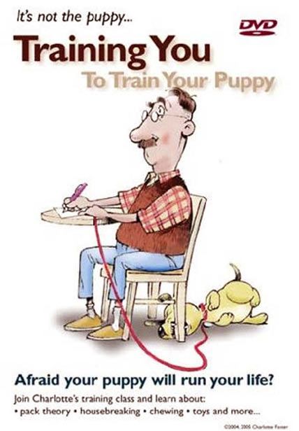 train your puppy