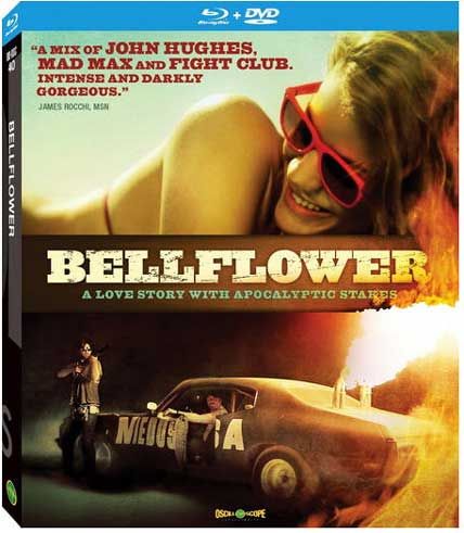bellflower