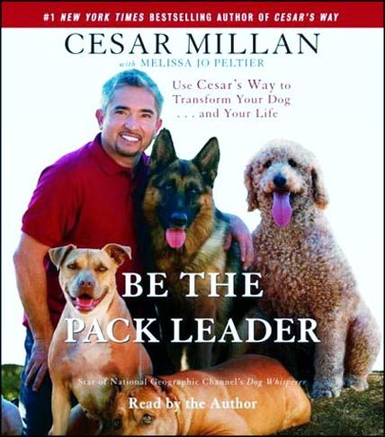 cesar millan be the pack leader