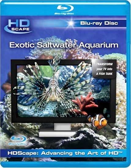 exotic saltwater aquarium