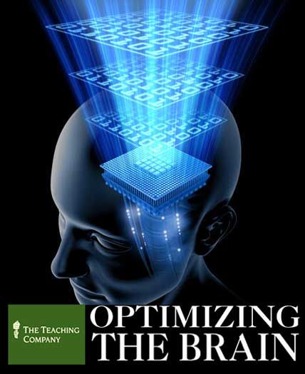 optimizing the brain